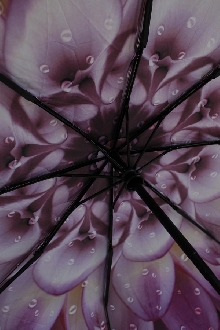 Зонт с рисунком 9359Х
