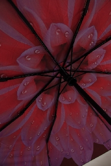 Стильный зонтик 9360Х