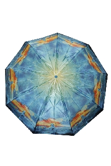 Зонт с принтом 338В