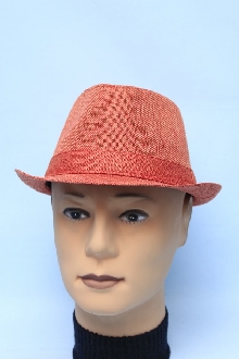 Мужская модная шляпа 1166В