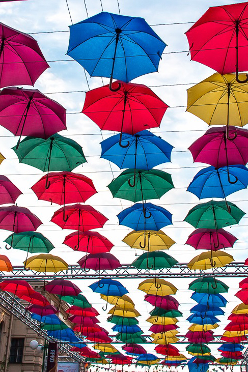 Зонты: виды и особенности